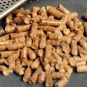 6.-Pengertian-Wood-Pellet-dan-Potensinya-di-Mancanegara-300x300 - RMBA Energi Indonesia