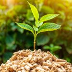 9.-Biomassa-Bahan-Bakar-Alternatif-Menarik-di-Era-Serba-Ada - RMBA Energi Indonesia
